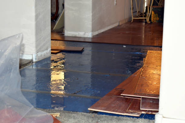 Professional Burst Pipe Cleanup technician working in Bostwick, GA